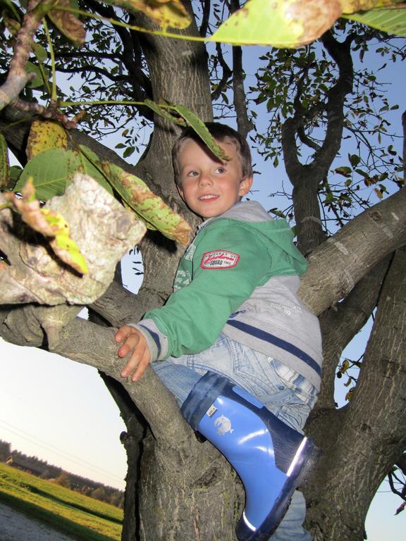 Baby- Und Kinderhof Aicherbauer Seeham Buitenkant foto