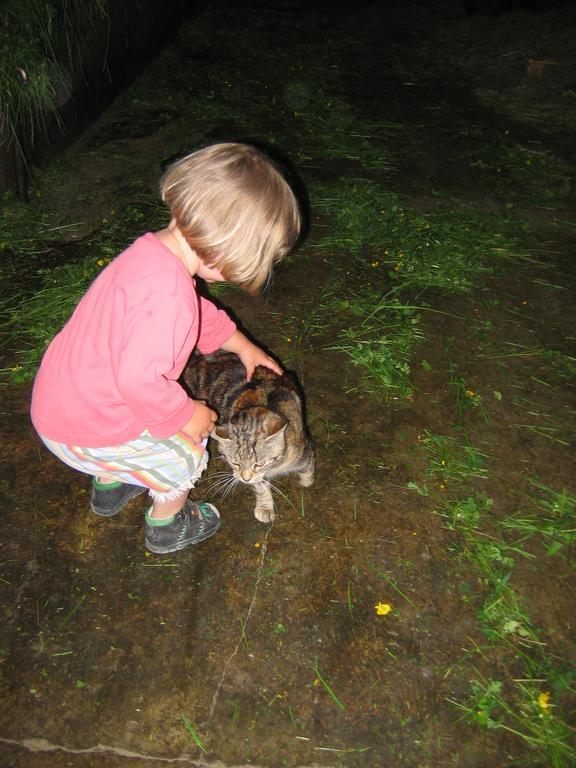 Baby- Und Kinderhof Aicherbauer Seeham Buitenkant foto