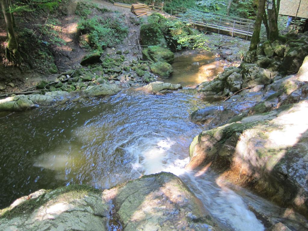 Baby- Und Kinderhof Aicherbauer Seeham Buitenkant foto