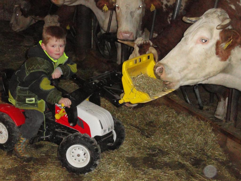 Baby- Und Kinderhof Aicherbauer Seeham Buitenkant foto