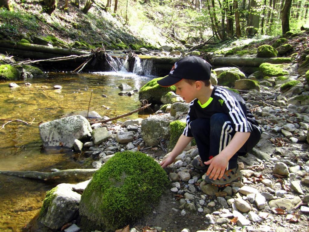 Baby- Und Kinderhof Aicherbauer Seeham Buitenkant foto