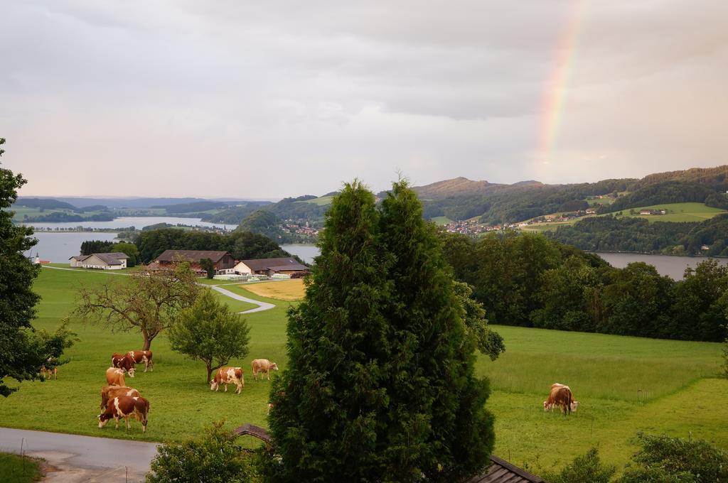Baby- Und Kinderhof Aicherbauer Seeham Buitenkant foto