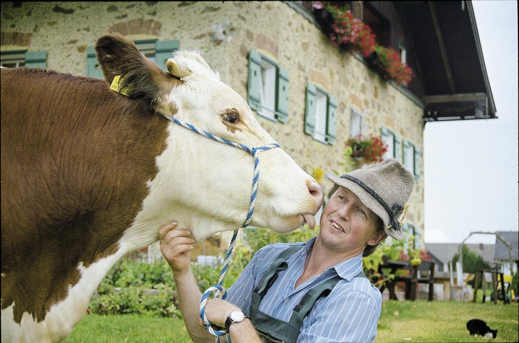 Baby- Und Kinderhof Aicherbauer Seeham Buitenkant foto