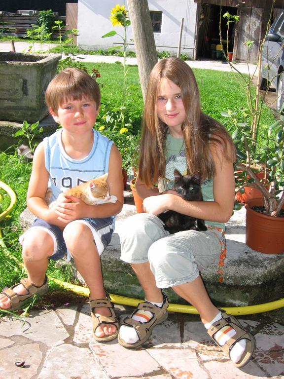 Baby- Und Kinderhof Aicherbauer Seeham Buitenkant foto
